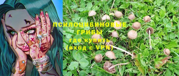 МДПВ Кодинск