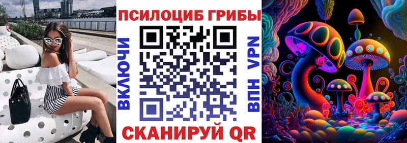 наркота  Макаров  Галлюциногенные грибы Psilocybe 